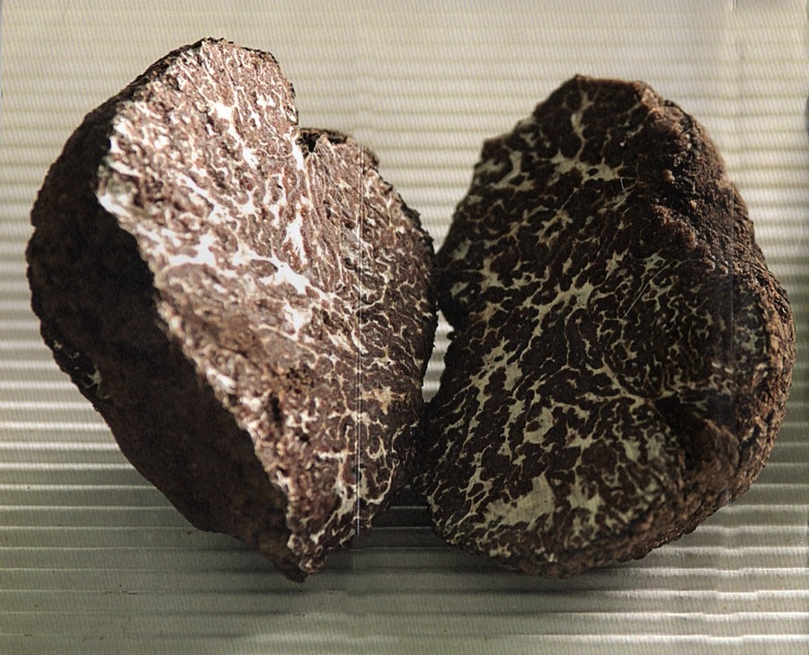 tartufo nero ordinario