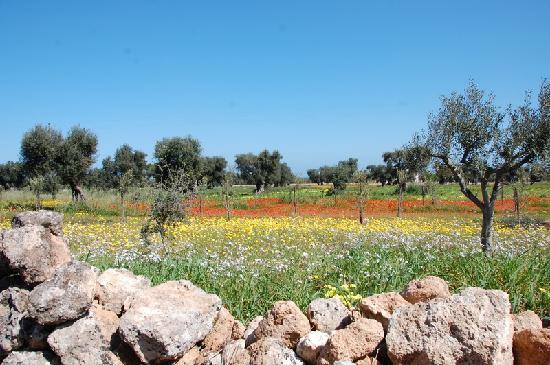 puglia