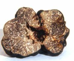 Tartufo nero liscio