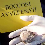 Come addestrare il cane a non mangiare bocconi avvelenati