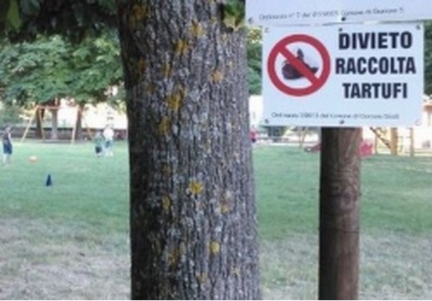 Divieto di raccolta tartufi nel parco giochi