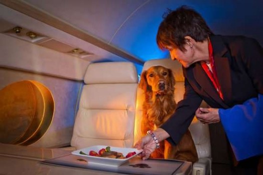 Strani compagni di viaggio : Fiera d’Alba