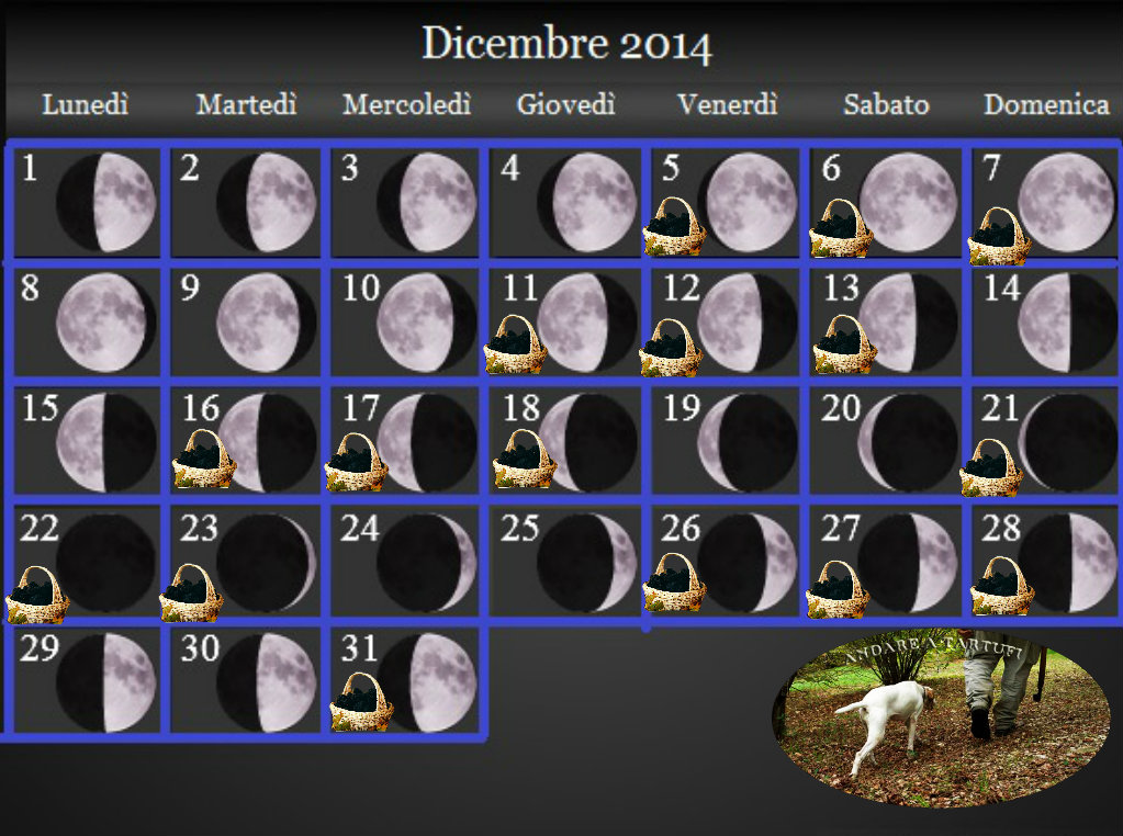 Dicembre 2014