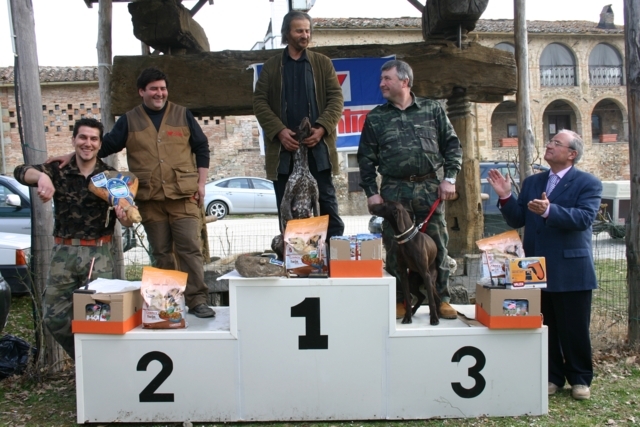 gare di cani da tartufi su ring