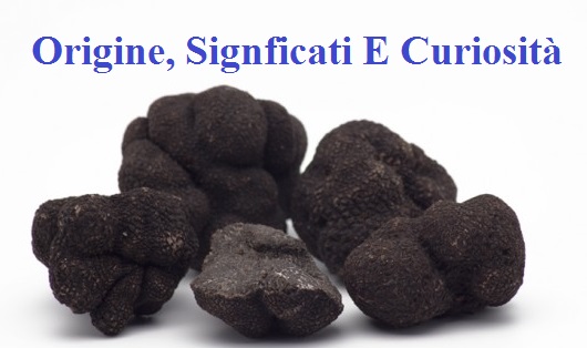 Origine dei nomi del tartufo