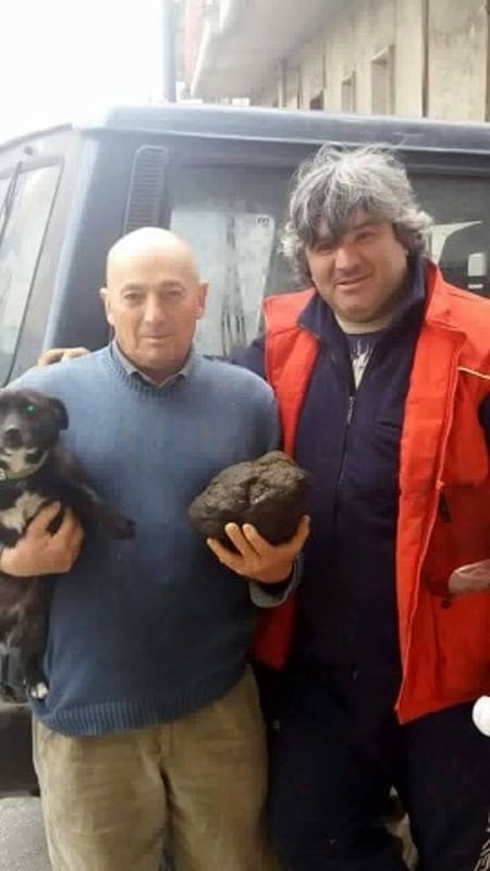 Trovato tartufo record sui Monti del Partenio 3 kg - E' una pietra fungaia (Foto)