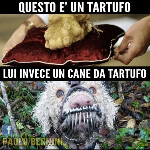 Paolo Bernini