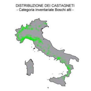 castagneti