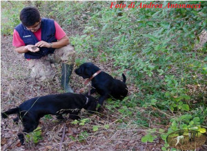 Foto di Andrea Antonucci cani da tartufo e tuber magnatm pico