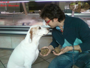 Foto di Bosio Massimo con il suo cane (tuber magnatum pico)