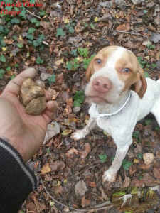 Foto di Ciacio Olocco Magnatum Pico con il suo cane da tartufo