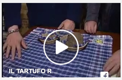 Video tartufi record