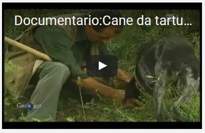 video documentari sui tartufi