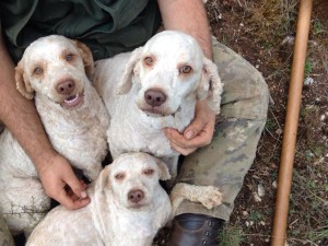 lagotti-da-tartufo-alberto-righetti