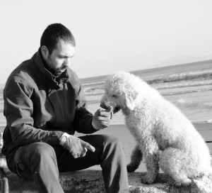 lagotto-romagnolo-da-tartufi-bianco-e-padrone-bianco-e-nero-maurizio-iachella