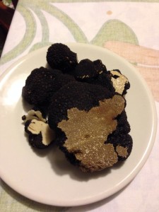 tartufo-scorzone-andrea-toppi