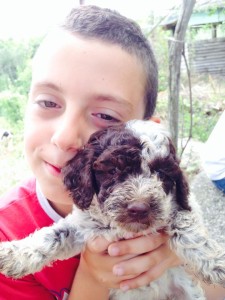 cucciolo-di-lagotto-romagnolo-da-tartufi-e-umano-carmine-rungi