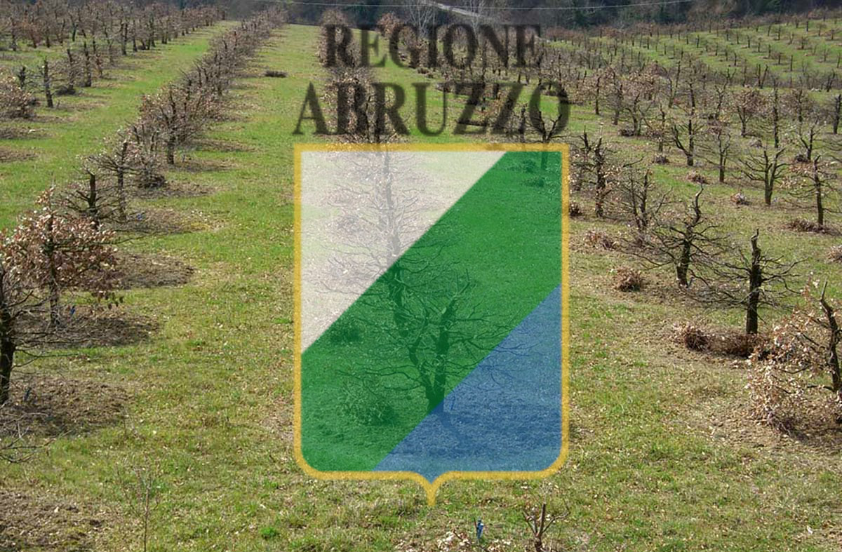 Contributi per la tartuficoltura Abruzzo