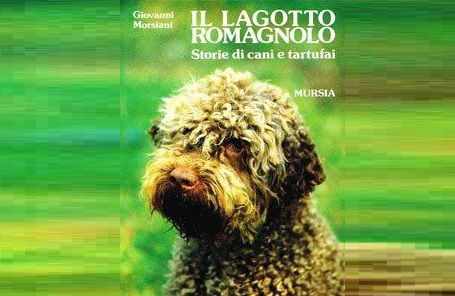 Alla ricerca del libro perduto sul Lagotto Romagnolo