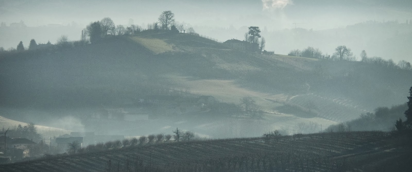 In collina per tartufi - Racconto del 1971