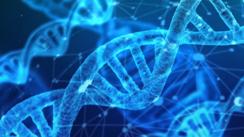 Discendiamo dai tartufi, lo dice la scienza