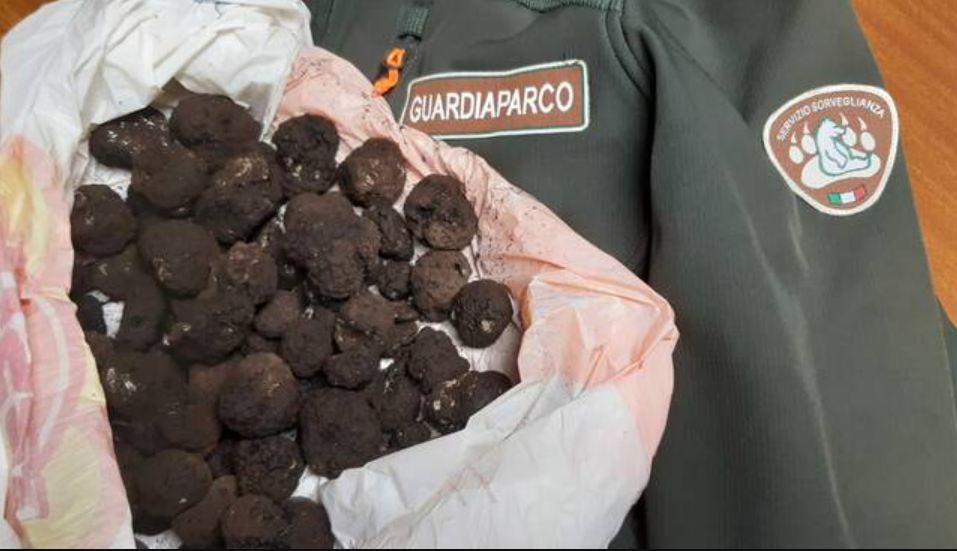 Un altro tartufaio del Lazio sorpreso nel Parco Nazionale d’ Abruzzo