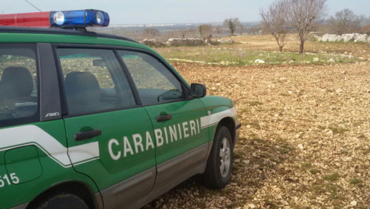 Un ordigno incendiario per l’ auto di un tartufaio rivale, identificato