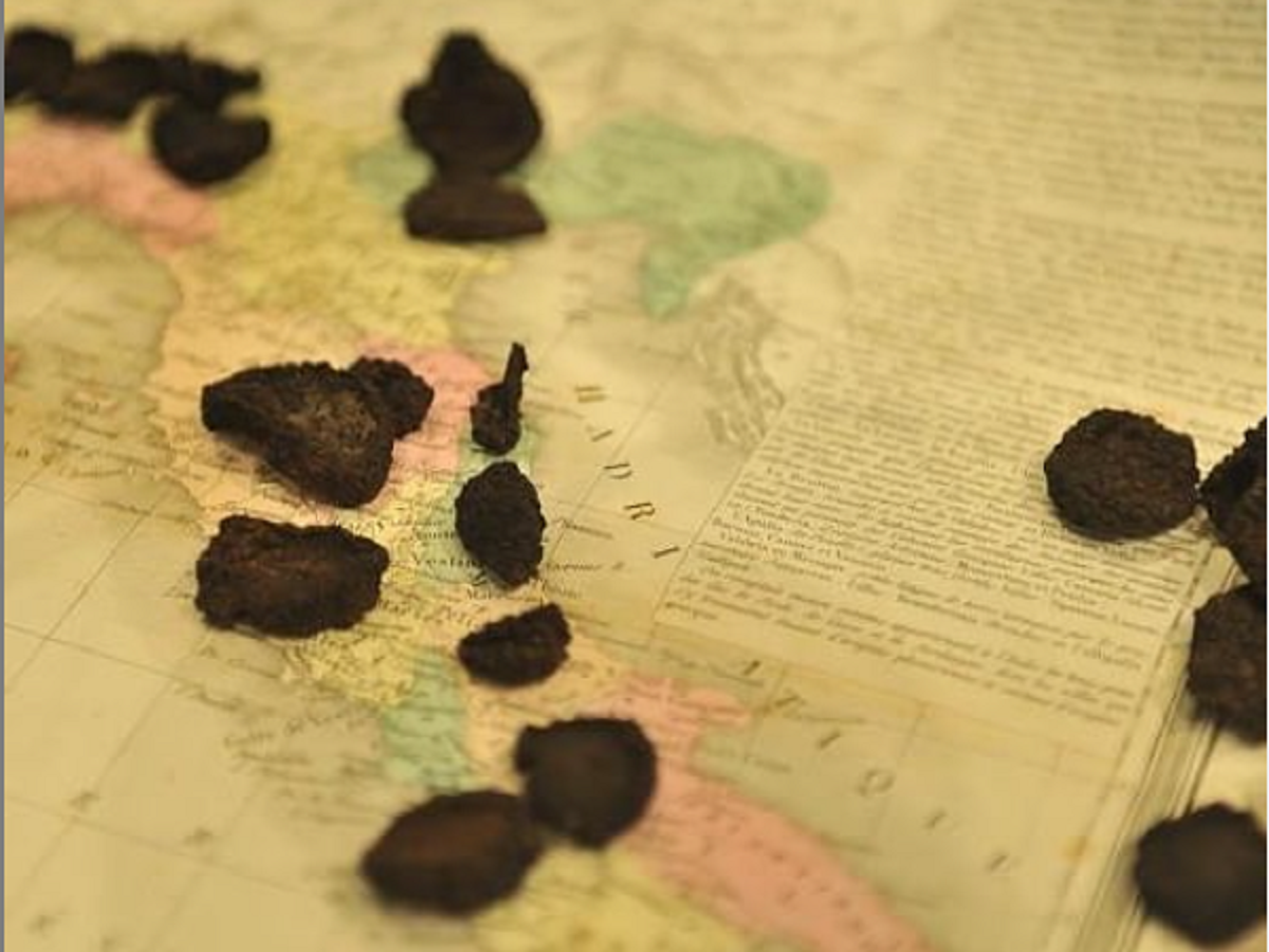 I musei italiani del tartufo