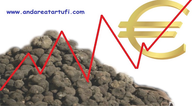 Quotazione Tartufo Scorzone