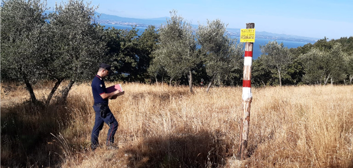Tabellano illegalmente 10 ettari di terreno , due denunciati