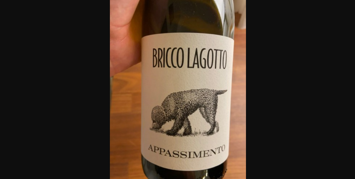 Dal Piemonte il Vino dedicato al Lagotto Romagnolo