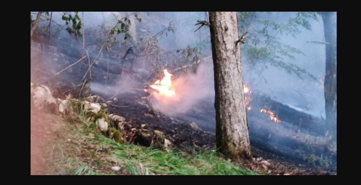 Incendi ad Alvito, fondamentale la collaborazione di tartufai e cacciatori