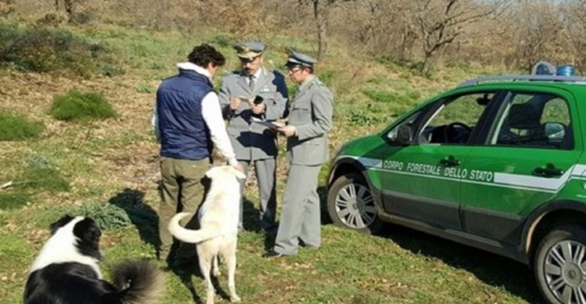 Una vita da Forestale