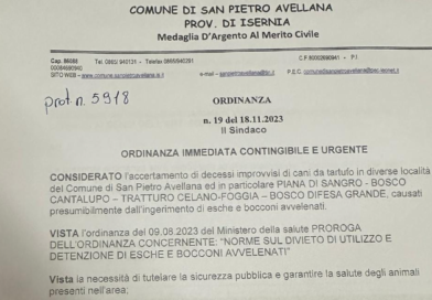 S. Pietro Avellana,  Colti in Flagranza 2 Tartufai in Cerca nella zona interdetta