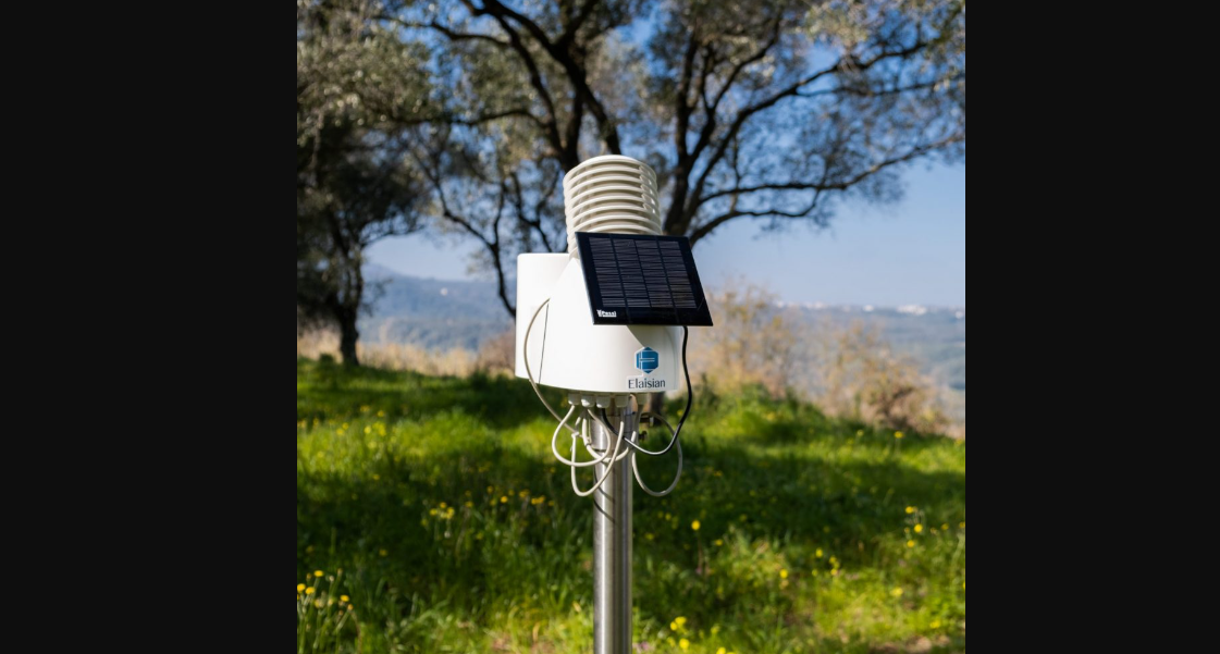 Come e Perchè Realizzare una Stazione Meteo per aver Successo in Tartuficoltura!