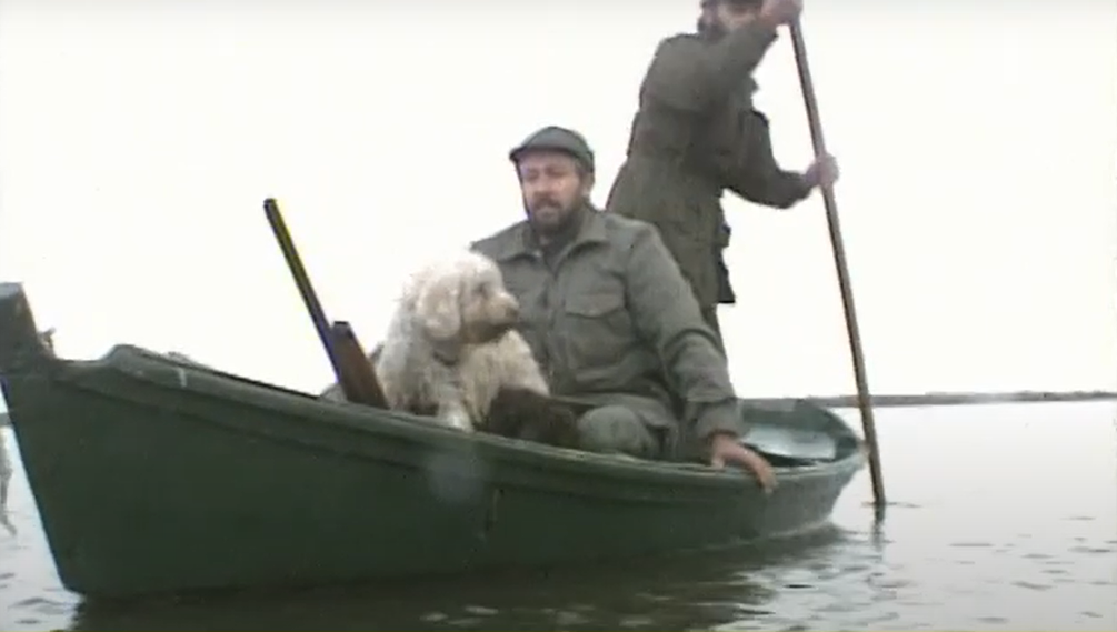 Documentario – Il Lagotto Romagnolo, il Cane da Tartufi a Pelo Riccio