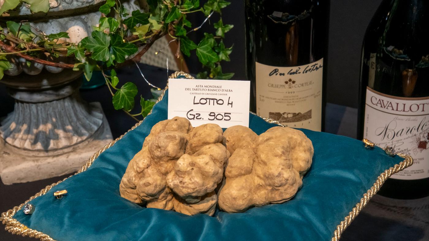 Piemonte – Battuti all’ Asta 4 Tartufi Bianchi D’Alba Per 395mila Euro