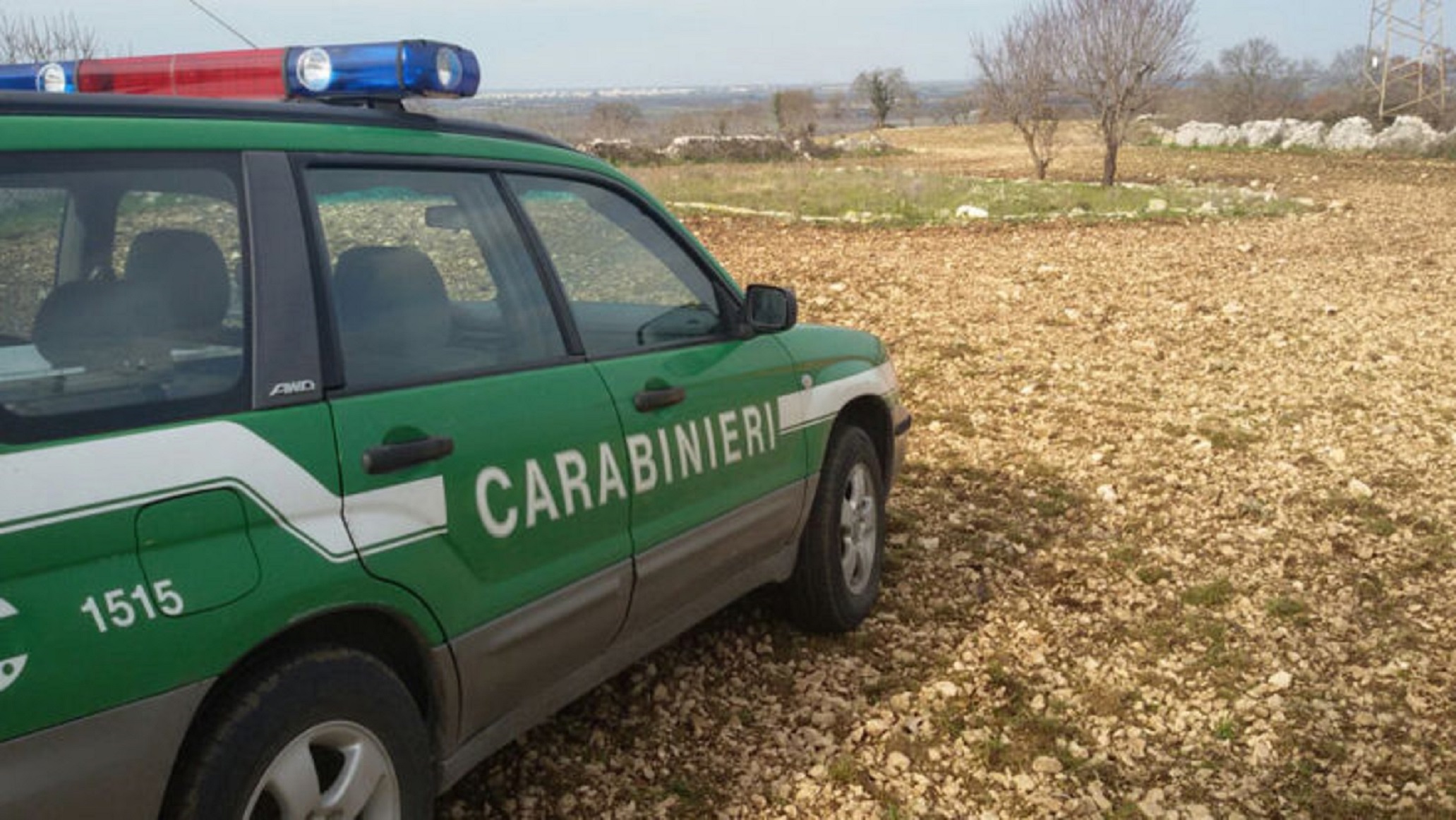 Frosinone – 2 cani da tartufo morti avvelenati e un Lagotto salvo per miracolo