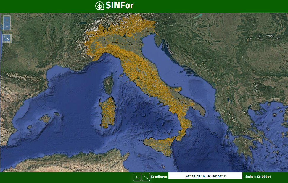 In Cerca di tartufaie comodamente da casa? Si, con la Mappa On line dei Boschi