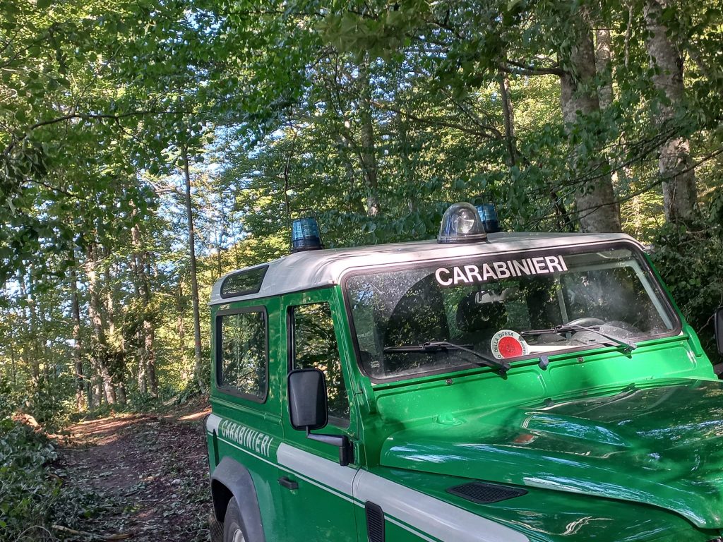 Cos’è consigliabile fare e NON, durante un controllo dei Carabinieri Forestali