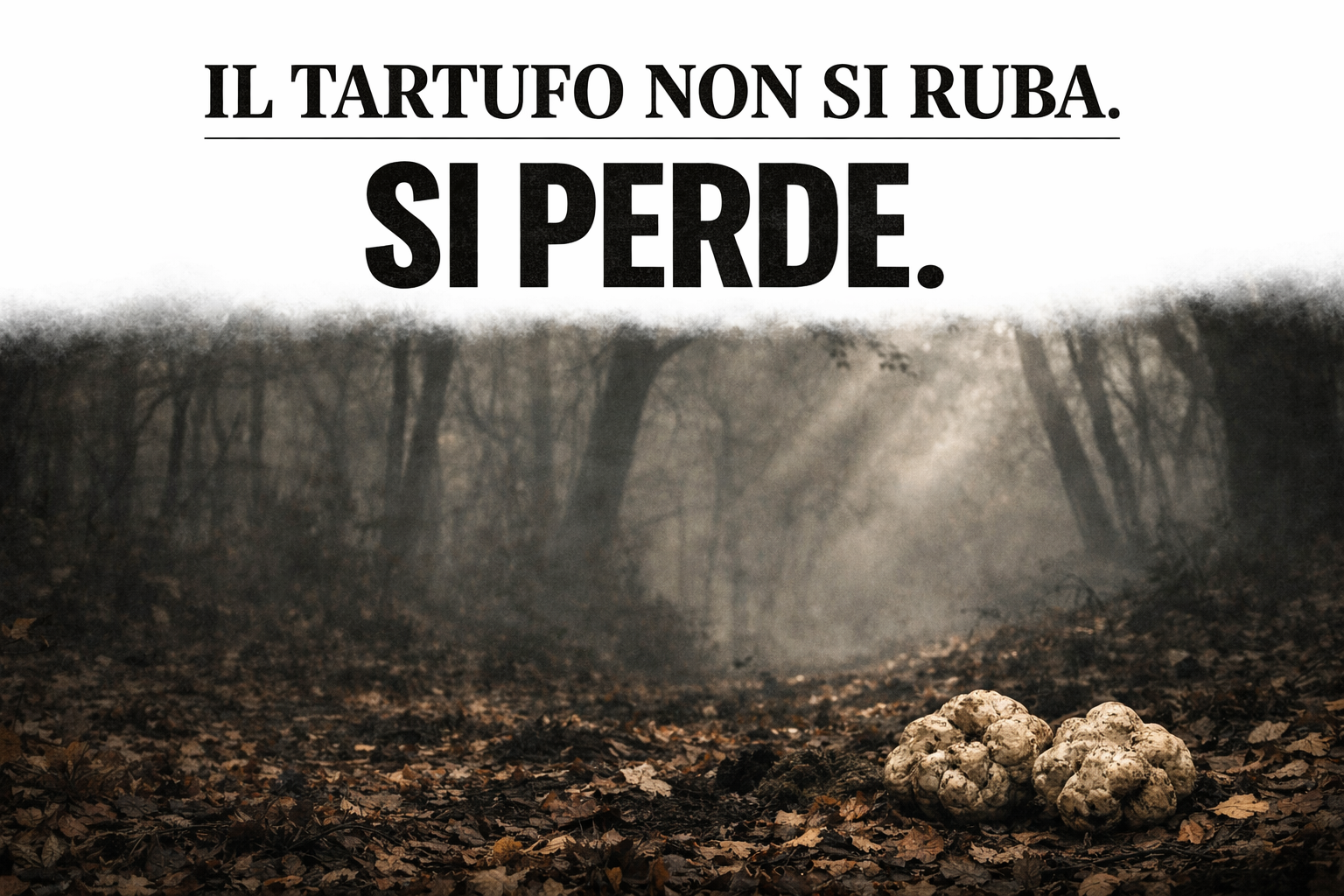 Il tartufo non si ruba, si perde: la Croazia si muove mentre l’Italia guarda